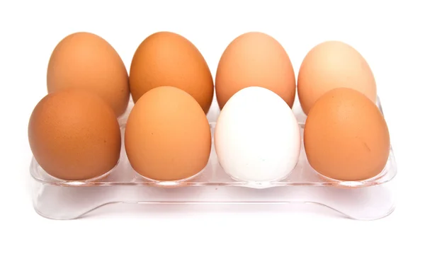 Brown and white eggs — Stock Photo, Image