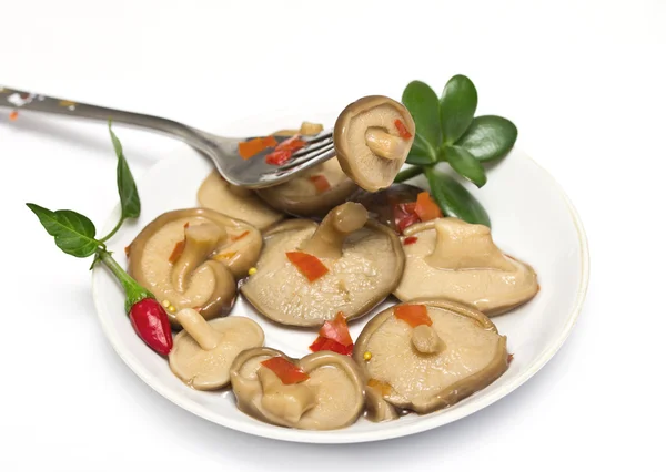 Funghi marinati su un piatto — Foto Stock