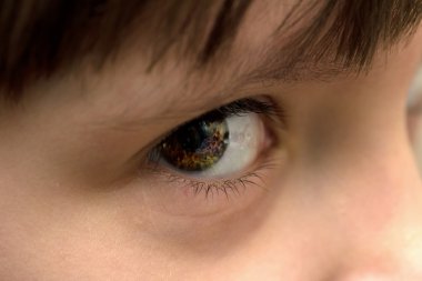 İnsan gözünün makro görüntüsü