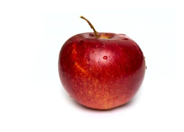 Fotoğraf.