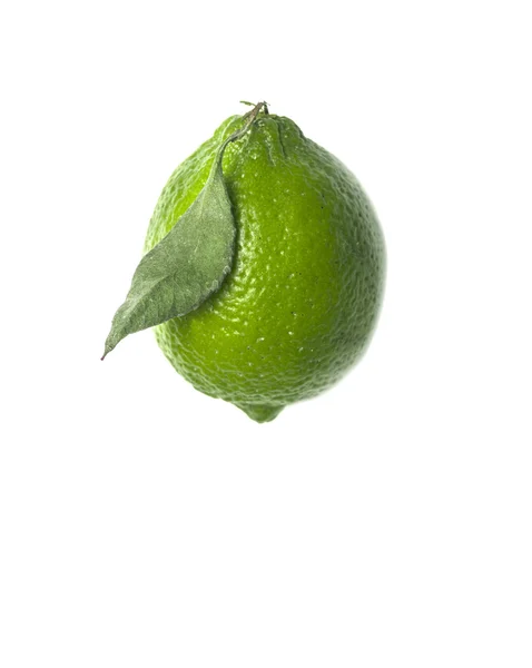 Grön lime på vit bakgrund — Stockfoto