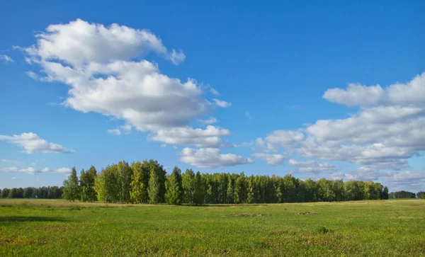 Landschap, herfst — Stockfoto