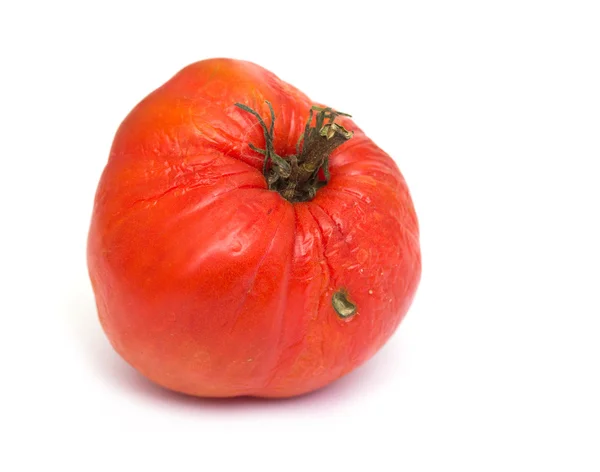 Tomate auf weißem Hintergrund — Stockfoto