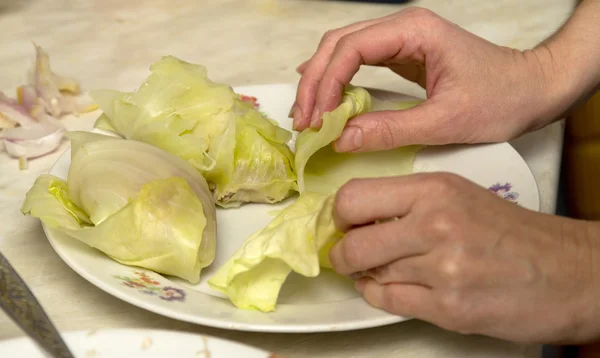 Levensmiddelen — Stockfoto