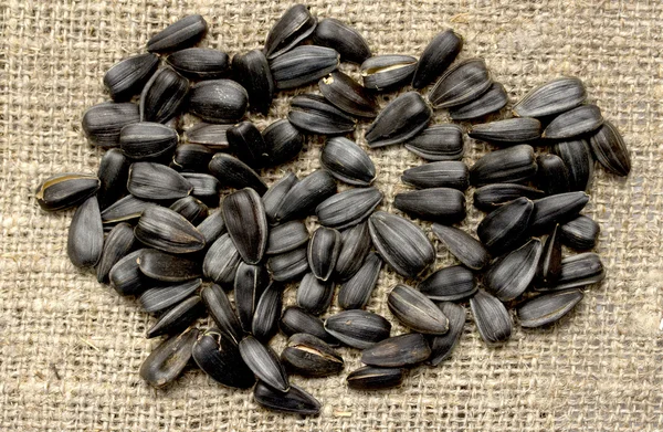 Sunflower seeds — Stock Photo, Image