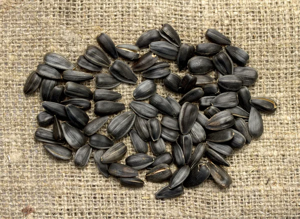 Sunflower seeds — Stock Photo, Image