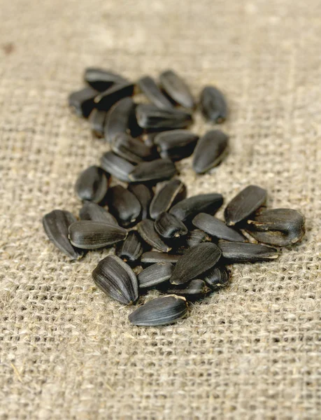 Black sunflower seeds — Stock Photo, Image