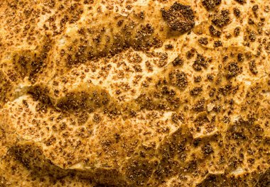 Beyaz arka planda bir somun ekmek