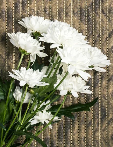 Bloemen — Stockfoto