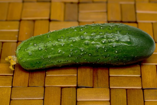 Groene komkommer geïsoleerd op witte achtergrond — Stockfoto