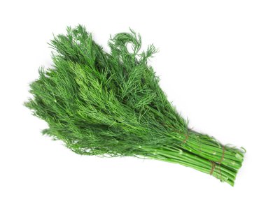 Beyaz arkaplanda yeşil dereotu