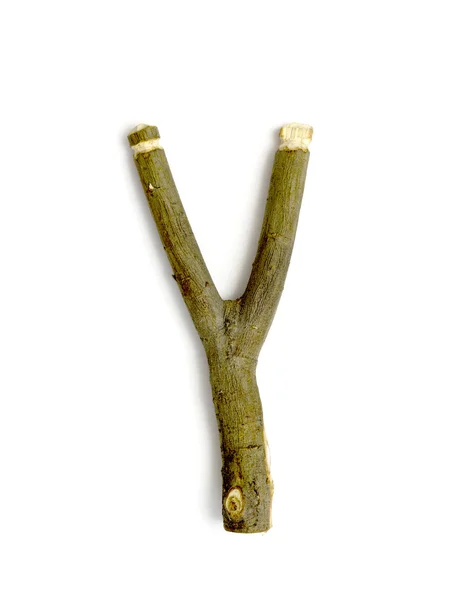 Деревянная рогатка — стоковое фото