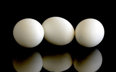 Siyah arkaplanda beyaz yumurta