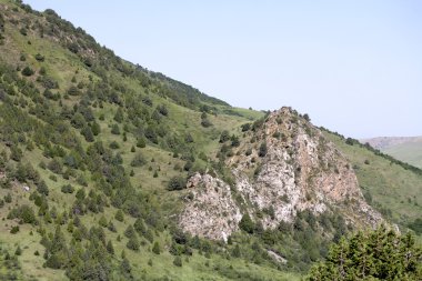 Doğa