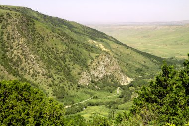 Doğa