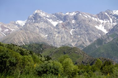 Doğa