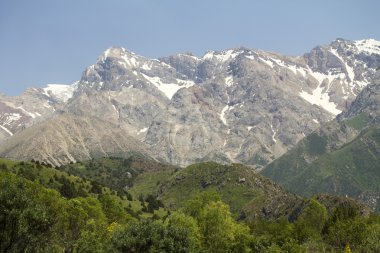 Doğa