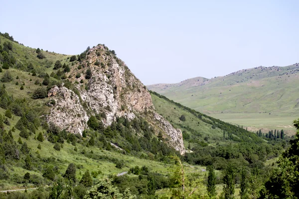 Doğa — Stok fotoğraf