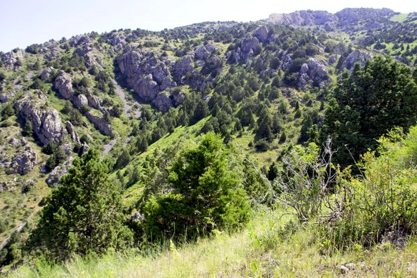 Naturaleza — Foto de Stock