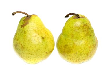 yiyecek çerez