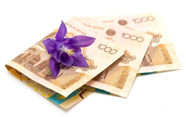Money of Kazakhstan, 1000 tenge — Stock Photo, Image