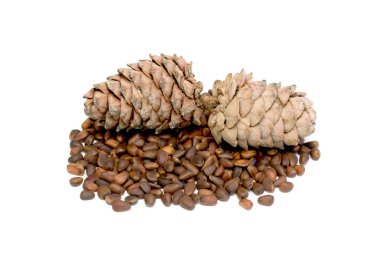 Doğa