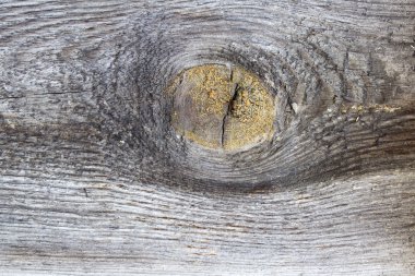 ahşap duvar panelleri