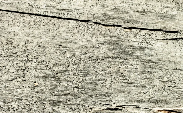 Szare drewniane panele ogrodzeniowe — Zdjęcie stockowe
