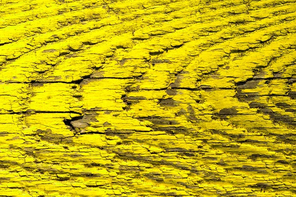 Sarı ahşap doku — Stok fotoğraf
