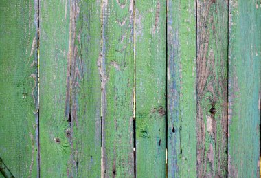Yeşil ahşap doku