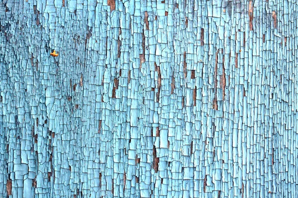 Niebieska tekstura drewniana — Zdjęcie stockowe