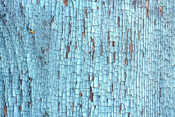 Textura de madeira azul — Fotografia de Stock