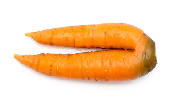 Carrot isolated — Stock Photo, Image