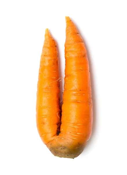 Καρότο απομονωθεί — Φωτογραφία Αρχείου