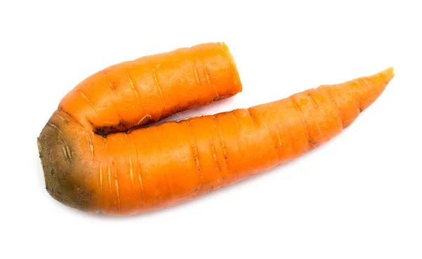 Carrot isolated — Stock Photo, Image