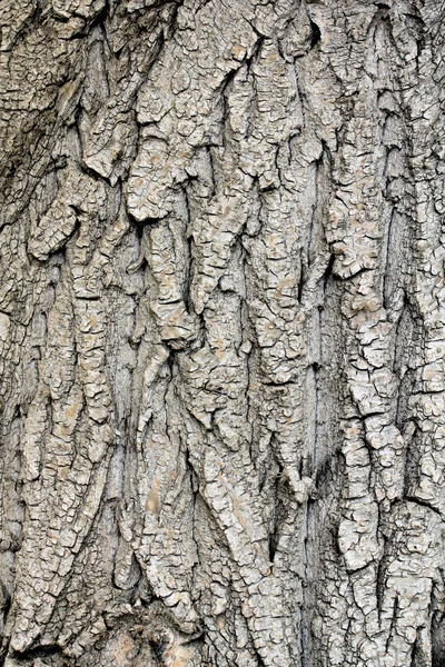 Textura de fundo — Fotografia de Stock