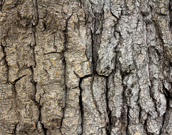 Textura de fondo —  Fotos de Stock