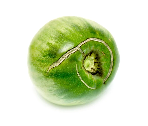 绿色番茄 — 图库照片