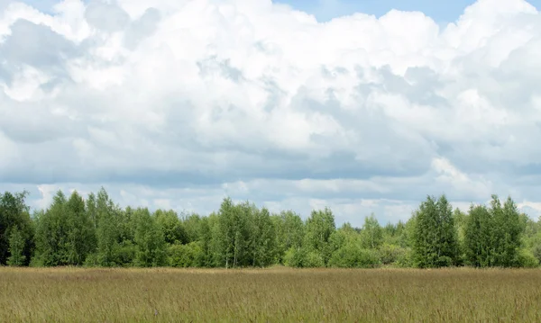 Natuur — Stockfoto