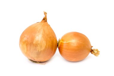 Soğan