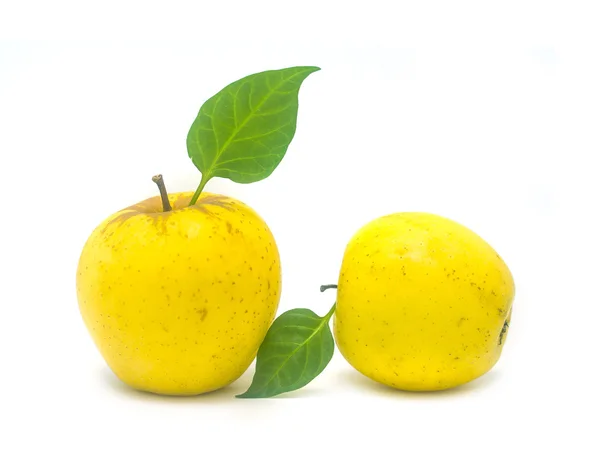 成熟的黄色苹果 — 图库照片