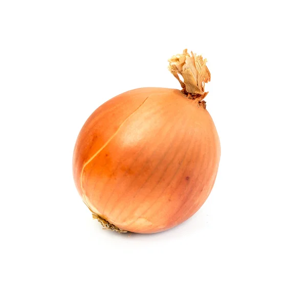 Onion — Stock Photo, Image