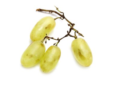 küme beyaz muscat üzüm