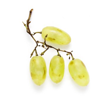 küme beyaz muscat üzüm