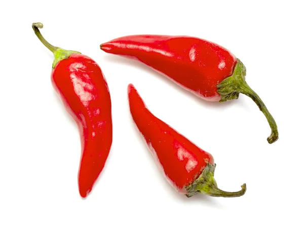 Rode chili peper — Stockfoto