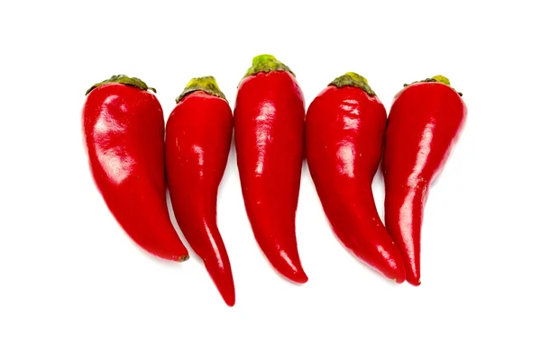 Red chili pepper — Stock Photo, Image