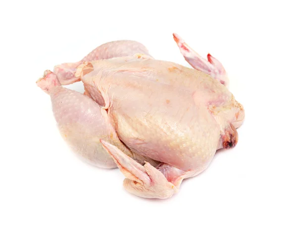 Carne de pollo — Foto de Stock