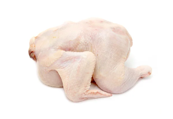 Chicken meat — Stock Photo, Image