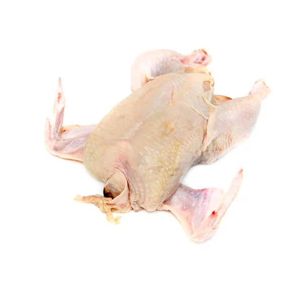 Carne de pollo — Foto de Stock