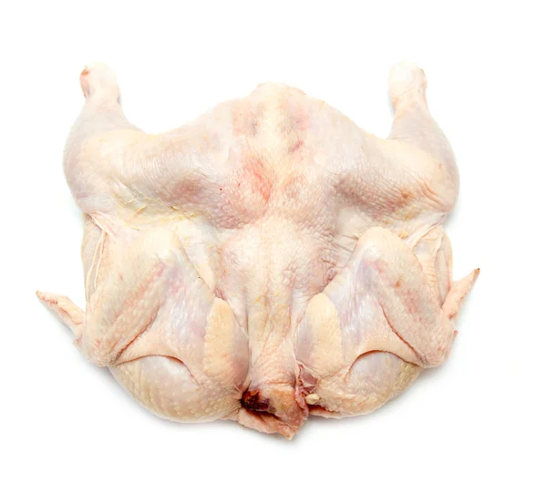 Tavuk eti — Stok fotoğraf
